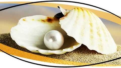 Pearl Shell PowerPoint Template by PoweredTemplate.com