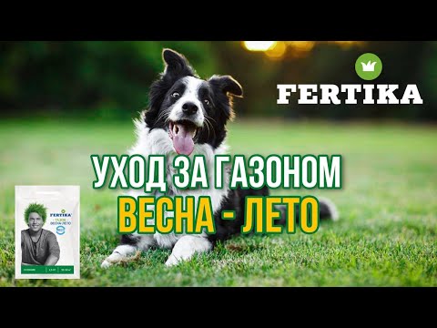 Уход и подкормка газона летом. Фертика газон-весна лето.