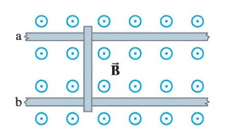 (29-33) A conducting rod rests on two long frictionless parallel rails in a magnetic field B (⊥ to t