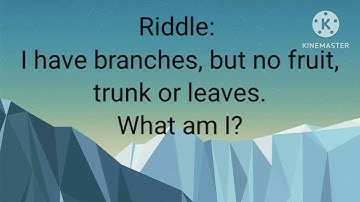 Riddle: I have branches, but no fruit, trunk or leaves. What am I?