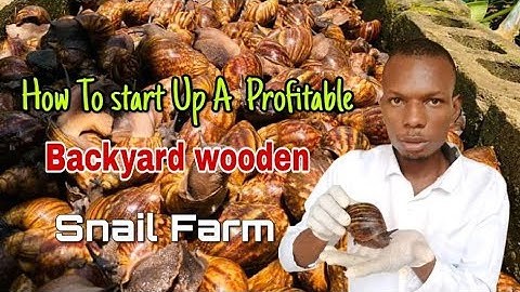 How to start up a Profitable Backyard Snail Farms