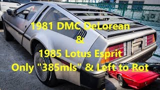 Japan Car Auction | 1981 DMC DeLorean &amp; 1985 Lotus Esprit