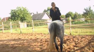 * cantering bridleless and saddleless :)
