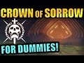 Destiny 2: CROWN OF SORROW RAID FOR DUMMIES! | Complete Raid Guide & Walkthrough!