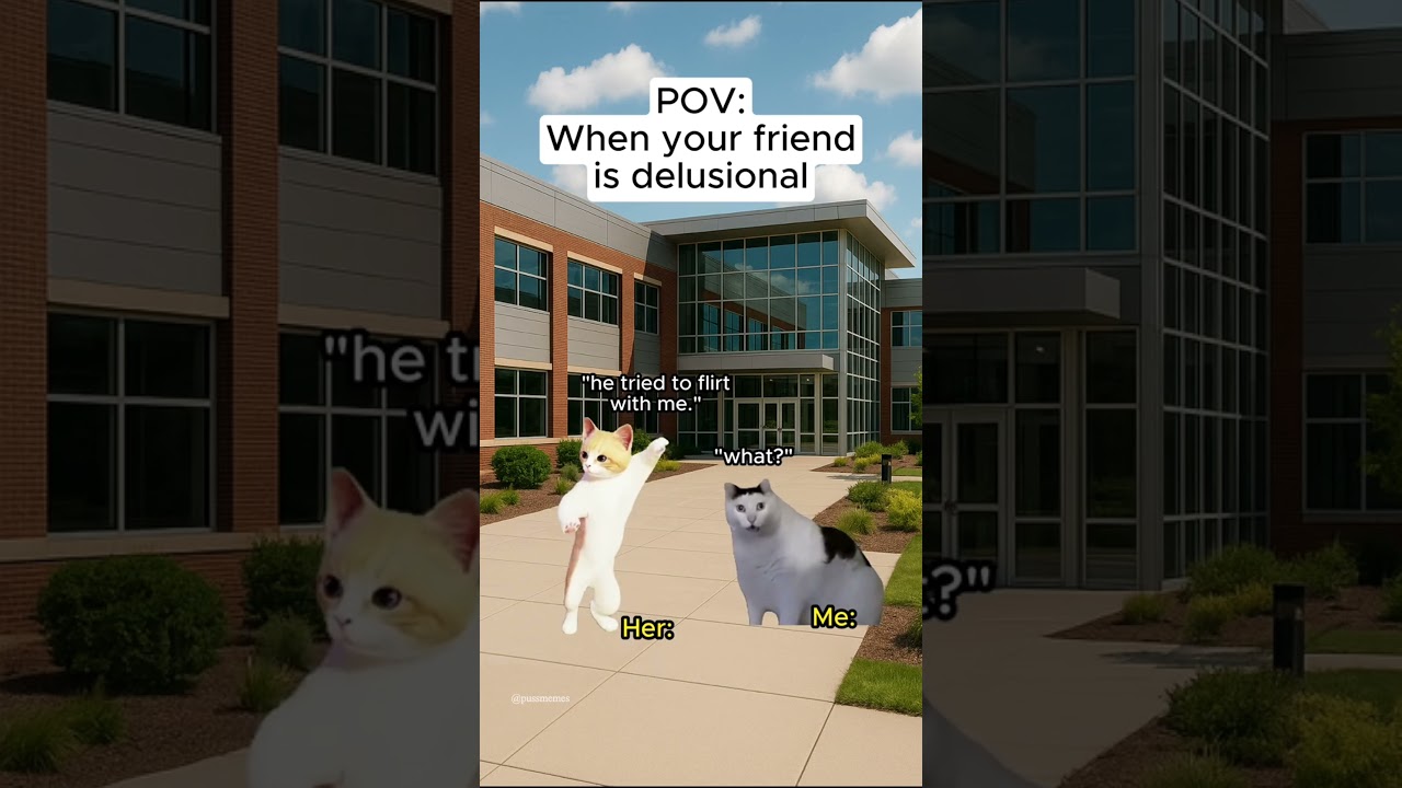 CAT MEMES 😺When your friend is delusional #catmemes #relatable #relationship