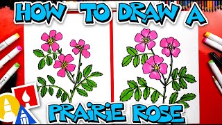 How To Draw A Prairie Rose Flower