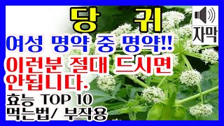 당귀효능 10가지/ 당귀 먹는법 /당귀 부작용❤️당귀 완벽정리❤️ #당귀효능 #당귀먹는법 #당귀부작용