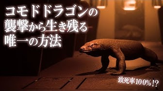 コモドドラゴン Youtube
