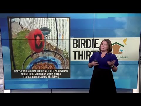 The Gardner News Obitsnewsfeed