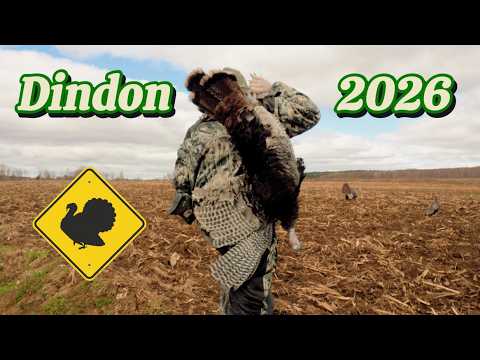 Chasse Au Dindon 2026 ( En Camping ! )