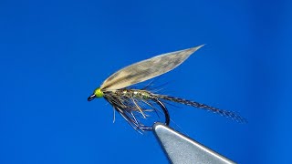 Tying a March Brown Using Yli Silk with Davie McPhail