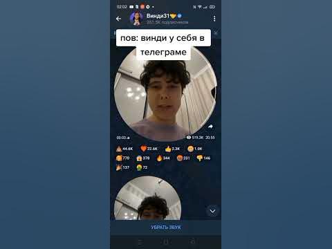 #винди #windy #винди31 #windy31 #виндяй #хаосит #фнаф - YouTube