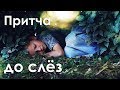 Трогательная притча о заботливой яблоне и мальчике.