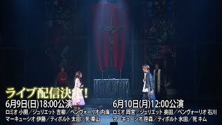ミュージカル『ロミオ＆ジュリエット』（2024）舞台映像ダイジェスト【小関・吉柳ほか】