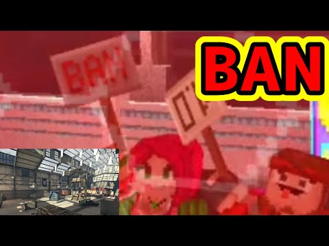 【ピクセルガン】BANされるかもしれません【pixelgun3d】