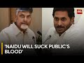 Chandrababu Naidu Will Suck Your Blood Like Chandrabukhi: Jaganmohan Reddy Warns Voters