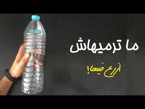 فيديو: معلومات نبات سبرايت الماء - كيفية زراعة سبرايت الماء في أحواض السمك