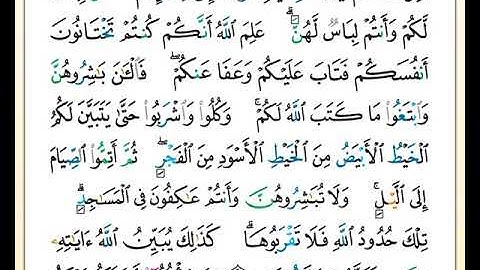 الصفحة رقم ( 29 ) من ختمة مصحف التجويد برواية حفص بصوت القارئ عبد الله بصفر