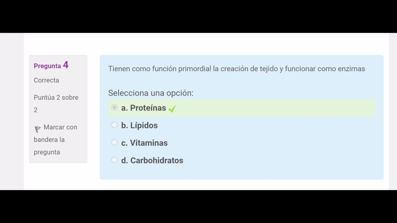 Actividad formativa 5. Seres vivos y biomoléculas - YouTube