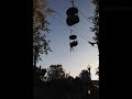 Crowd catches teen falling from 25 feet above at New York