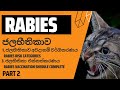 Rabies full vaccination schedule | ජලභිතිකා එන්නත්කරනය | Risk categorizing | අවදානම් වර්ගීකරණය