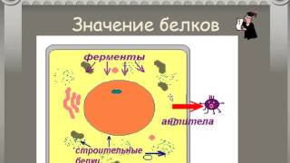 Самкова Т С  урок 4 Метаболизм   обмен веществ и превращение энергии в клетке