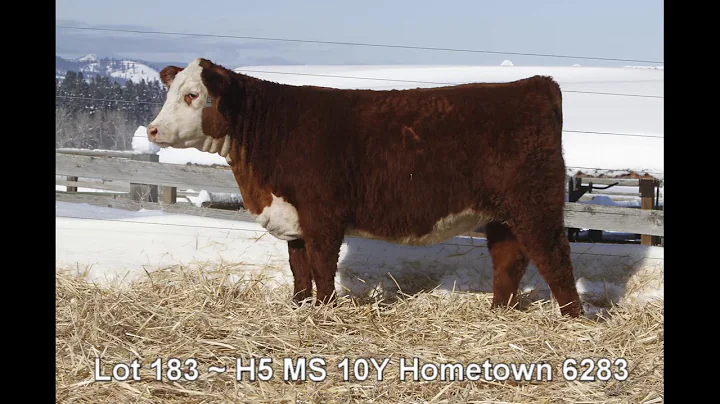 Lot 183 ~ H5 MS 10Y Hometown 6283