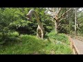Blair Drummond Safari Park on 21 06 08 at 1356 Land of the Dinasaurs in VR180