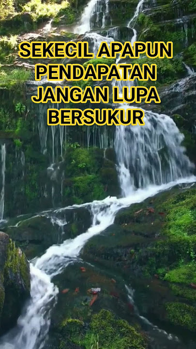 JANGAN LUPA BERSUKUR #reaction #gunsnroses #motivasikehidupan