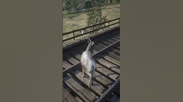 Wild survival skills of legendary masters , p26 , #shorts