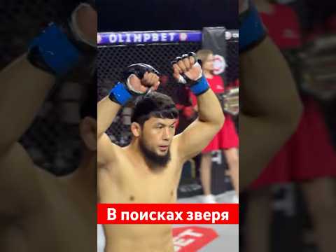 В поисках зверя #мма #muradaov #mma #абдукариммирзаев #бокс #харидуз #ufc #хонор #бои #файтинг