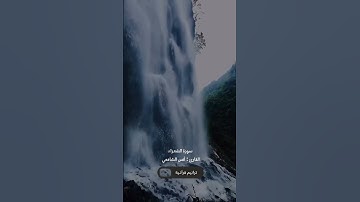 وتوكل على العزيز الرحيم القارئ أنس الشافعي