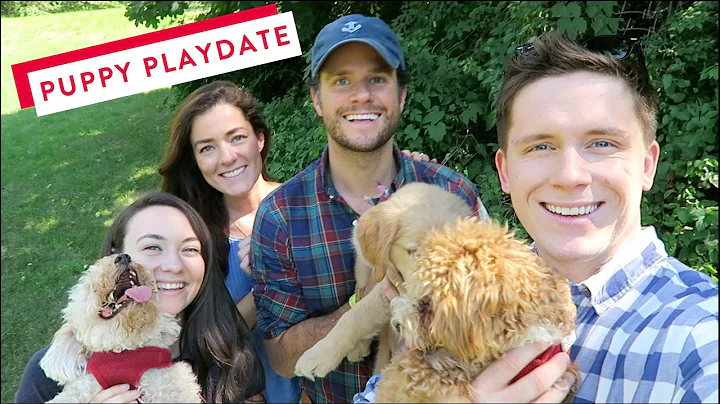 Puppy Playdate with Kiel James Patrick and Sarah V...