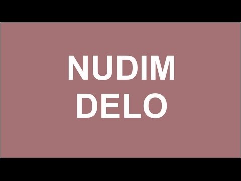 Nudim delo