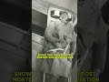 The SHOCKING 1943 Operation Mincemeat Forensic  || #shorts #crime #crimestory #crimedocumentary