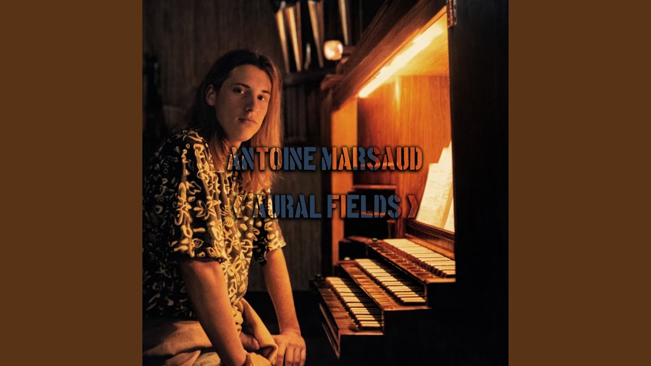 Watch Aural Fields on YouTube Watch Aural Fields on YouTube