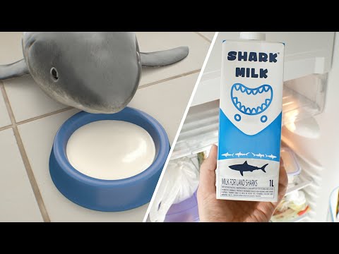 Shark Milk for Baby Shark