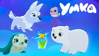 Умка 🐻‍❄️ Снежные цветы 🌷 премьера мультсериала на канале Союзмультфильм