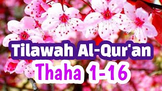 Tilawah Al Qur'an Merdu surat Thaha ayat 1-16 | Pak Fadil