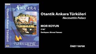 Mor Koyun