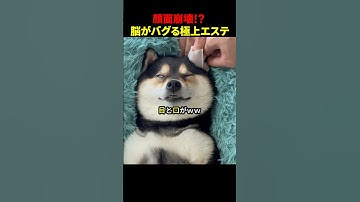 顔面崩壊!? 脳がバグる極上エステ #ほっこりショート