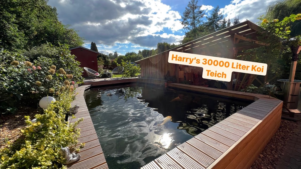 Harry’s gepumpter 30000 Liter Teich mit perfektem Wasser! Besser geht‘s
