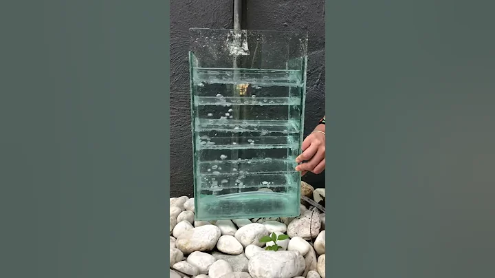 Primera prueba biorreactor