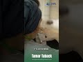 Tamar Taback Interview