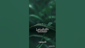 تلاوة خاشعة تريح القلب. #قرآن #تلاوة_خاشعة #المصحف #tilawati354 ##اكسبلور