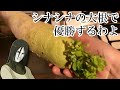 自分を大蛇丸と信じてシナシナにしなびた大根で優勝するわよ