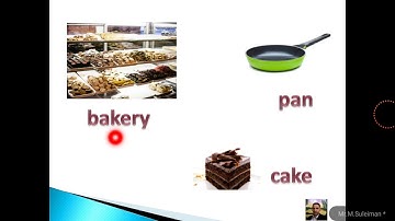 Connect plus unit 8 lesson 1