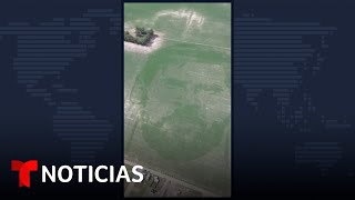 Cultivan gigantesco campo de maíz con el rostro de Messi #Shorts | Noticias Telemundo