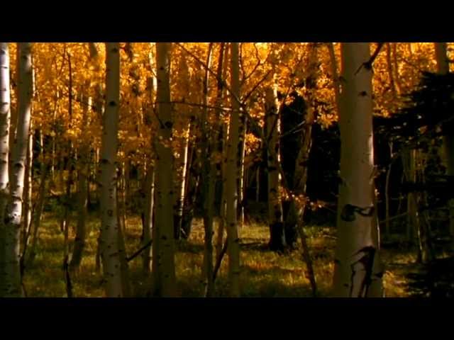 Rick Wakeman - Amazing Grace - YouTube