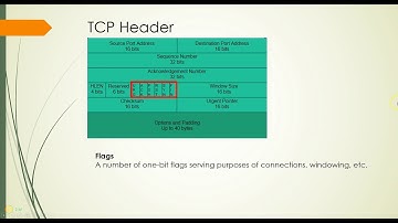 5-04 Transport layer header